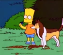 Motim canino