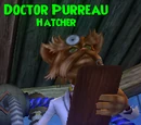 Doctor Purreau