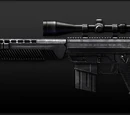 SG556 DMR