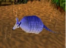 Armadillo.jpg