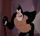 Ajax Gorilla