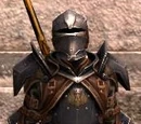 Orlesian Lancer
