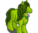 Lucky Horse