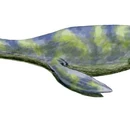 Dolichorhynchops