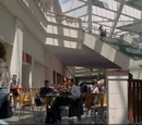 Sydney Airport