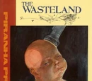 Wasteland Vol 2 1