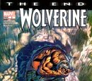 Wolverine: The End Vol 1 3