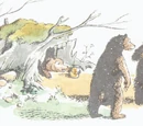 Bulgy Bears