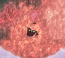 Susanoo