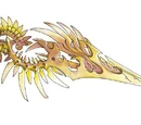 Ten Tailed Fox