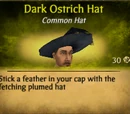 Dark Ostrich Hat