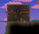 Multiplayer