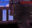 Dungeon