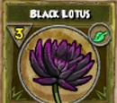 Black Lotus