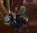 Raider Bork