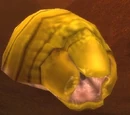 Borelgore
