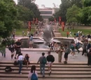 California University