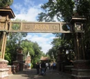 Asia (Animal Kingdom)