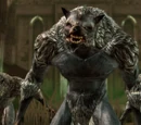 Nature of the Beast