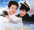 Into the Sun