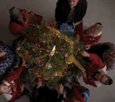 The Most Wonderful Day of the Year