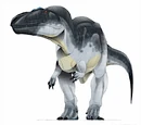 Carcharodontosaurus