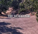 Episode 408: The Aftermath