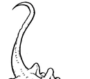 Fft