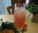 Rum Daisy