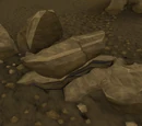 Concentrated coal rocks