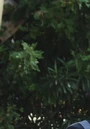 8x18 JD Elliot parking lot.png