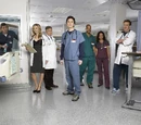Season 7 Cast