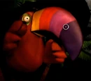 Tookie the Toucan