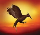 Mockingjay (bird)