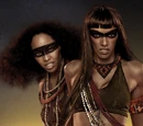Amazon coven