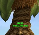 Niles, the Balance Tree
