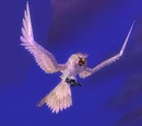 Hyjal Owl