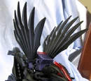 Glaive Quama