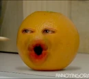 Orange Seed
