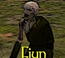 Fiun