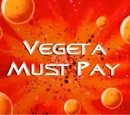 Vegeta Must Pay