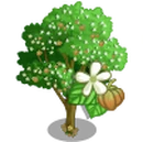 Teak Tree-icon.png
