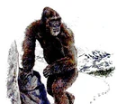 Yeti