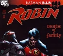 Robin Vol 4 175