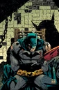 Batman 049.jpg