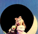 The Moon