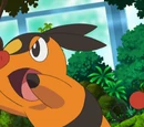 BW025: Battling For The Love of Bug-Types!