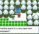 Pokémon Diamond/Pearl Walkthrough (Part 8)
