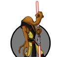 Darth Zhin