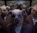 Pig slave